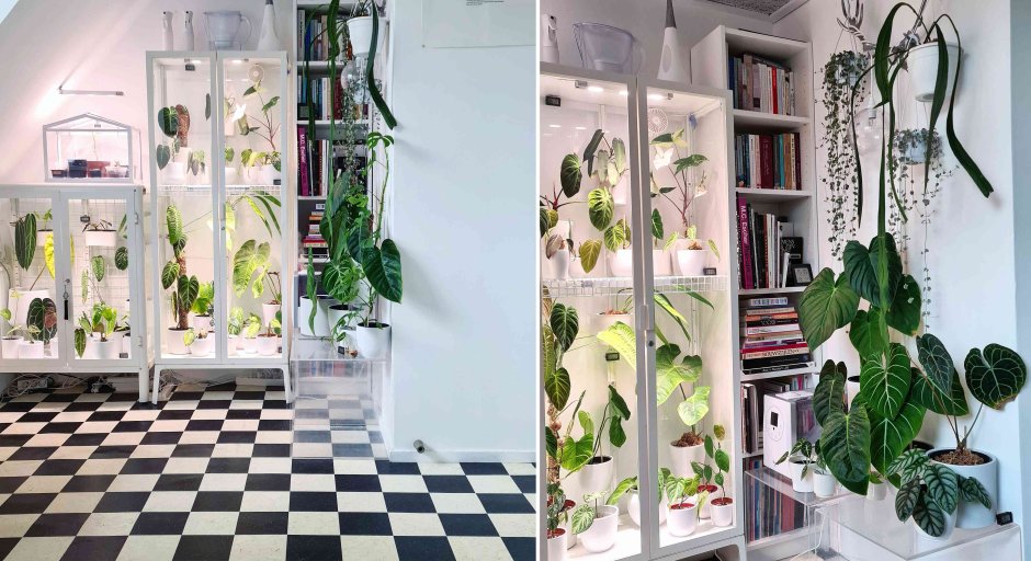 Ikea Greenhouse Cabinet