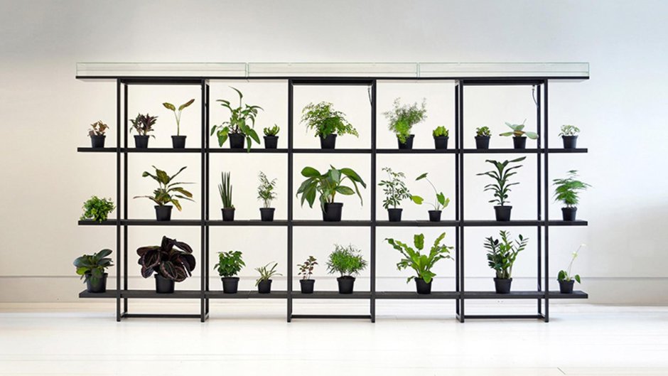 Стеклянный шкаф для растений