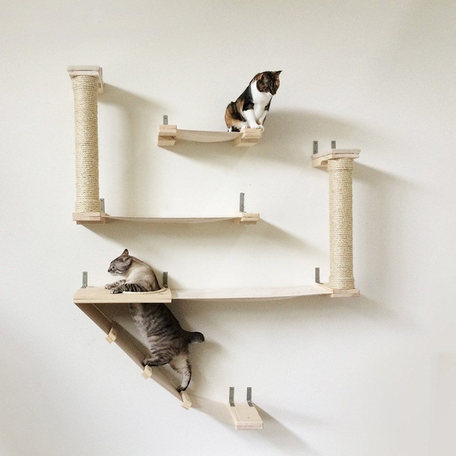 Полка для кошки на балконе