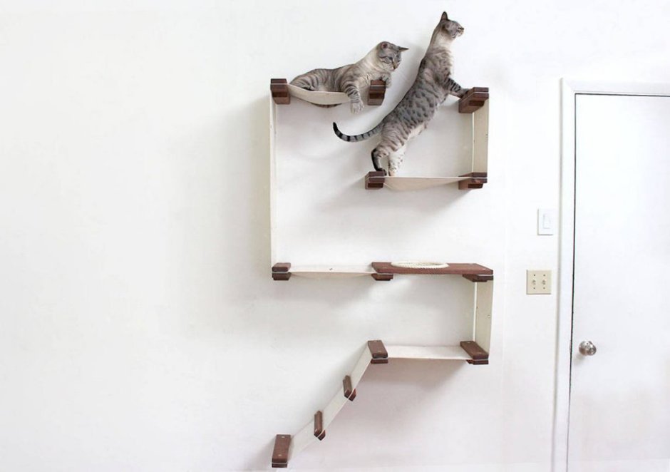 Мебель для кошек на стену