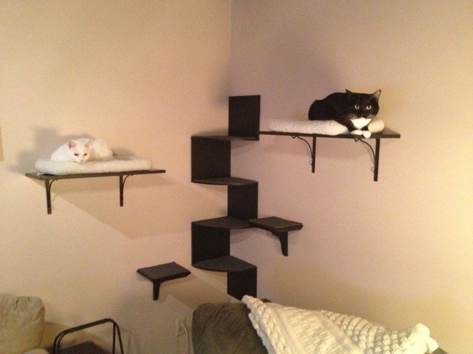 Кошачья мебель