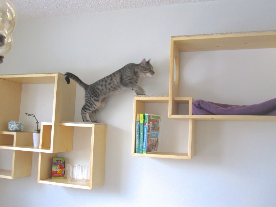 Alto Cat Wall Climber by Hans Thyge & co for MIACARA