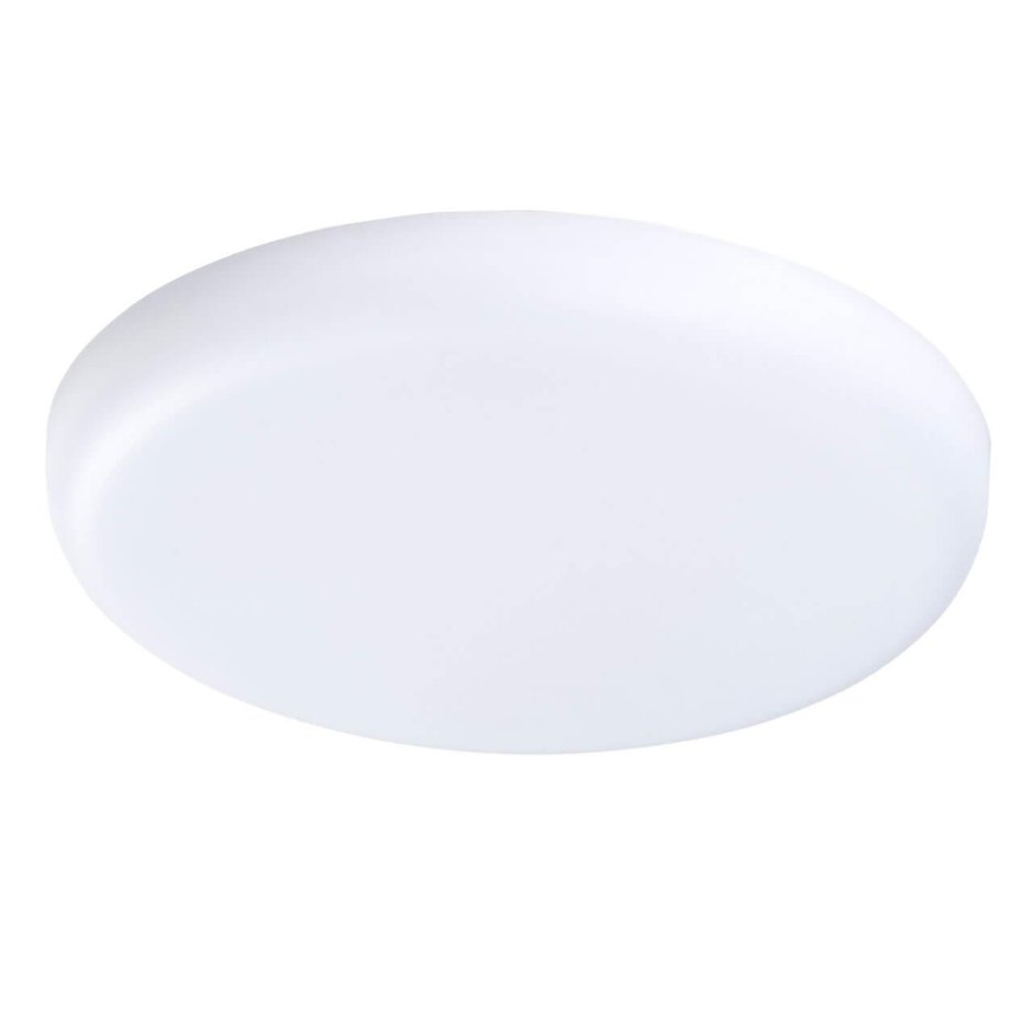 Lightstar Zocco Cyl led 225204
