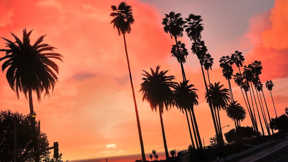 Пальмы на юге Англии