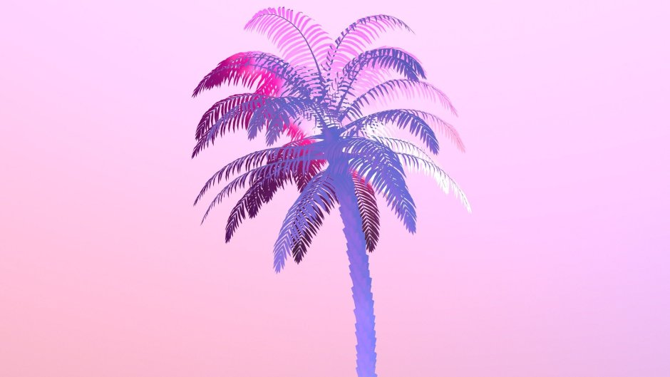 Пальмы вапорвейв