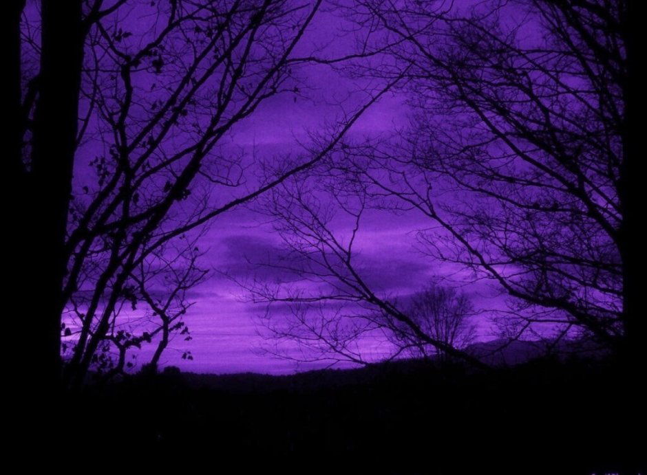 Темно-пурпурный цвет