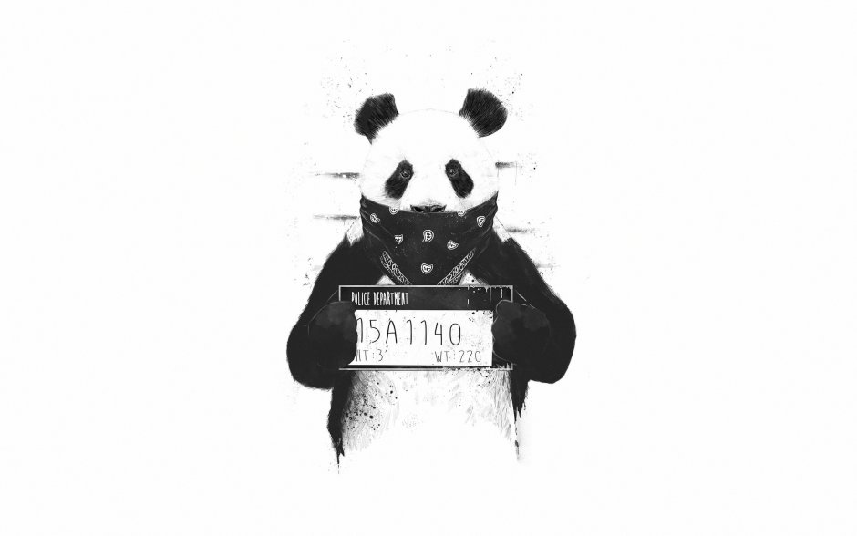 Панда на темном фоне