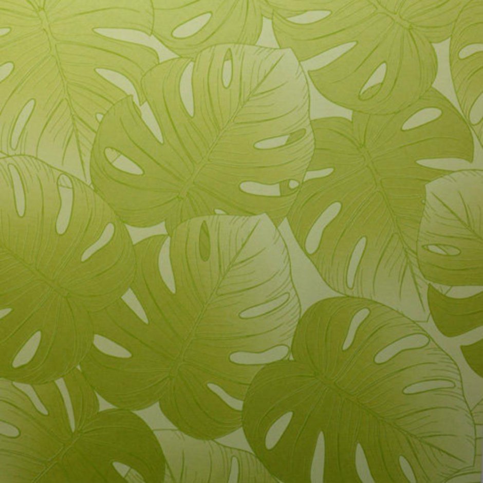 Обои Filpassion Tropicana tro122