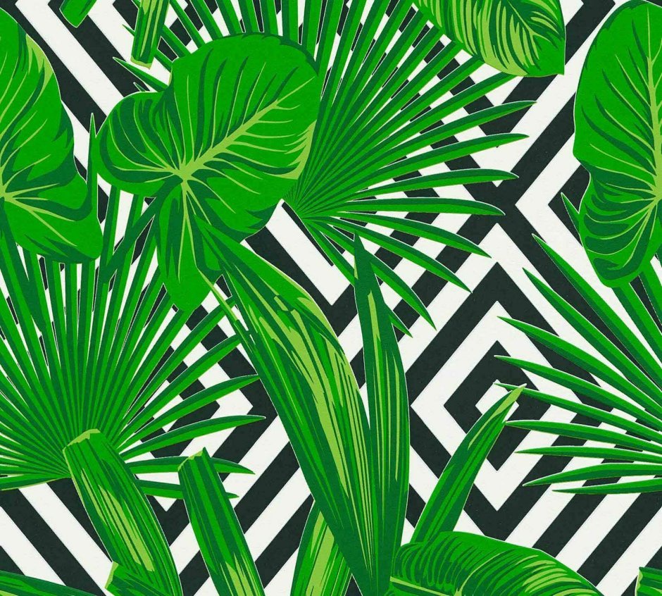 Alfresco Palm Leaf Wallpaper White Green Jungle Tropical 2744-24136