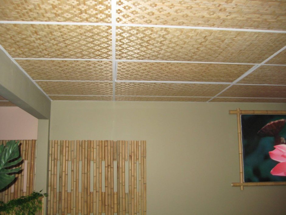 Отделочные материалы для потолка