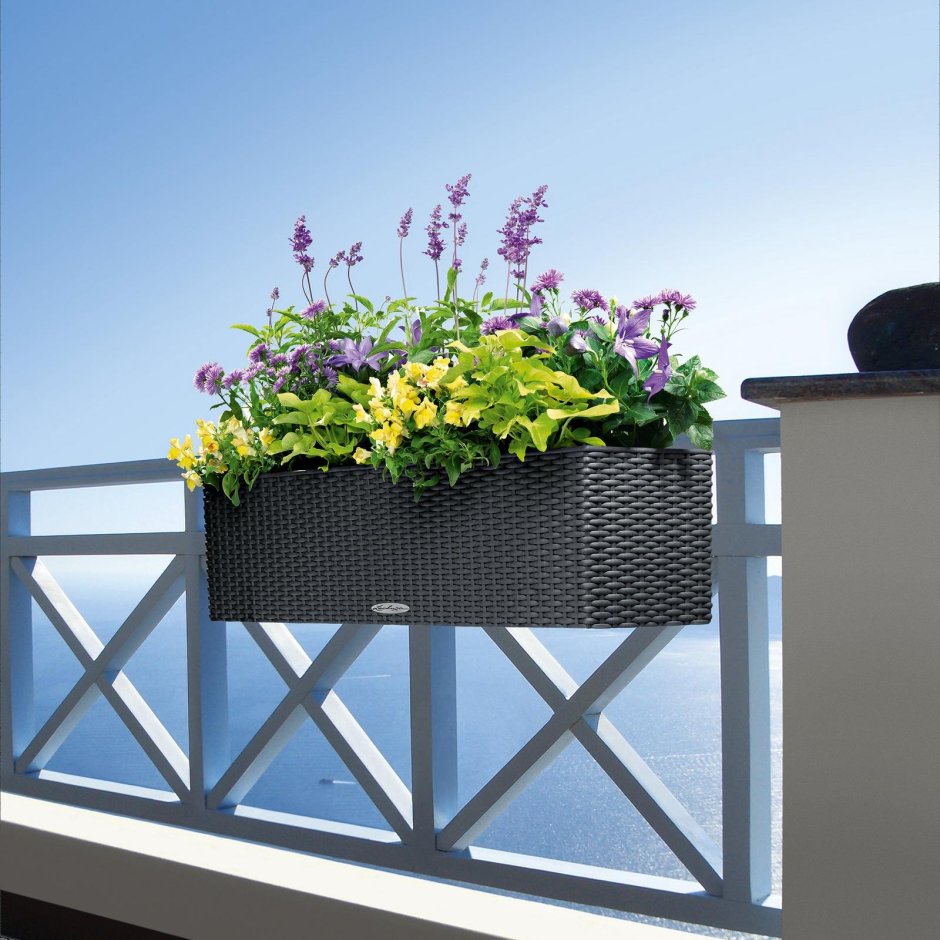 Кашпо Lechuza Balconera Cottage 80
