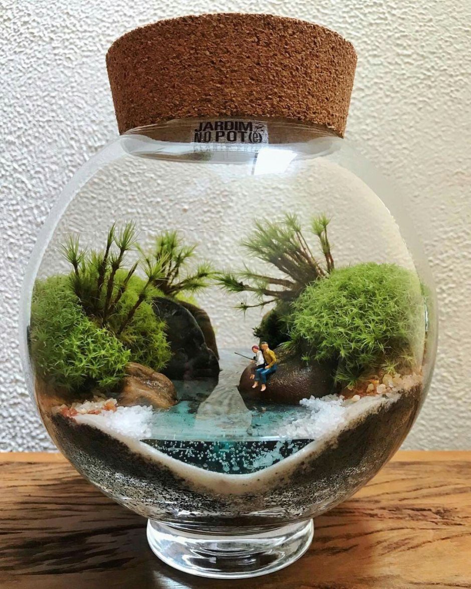 Levitera флорариумы
