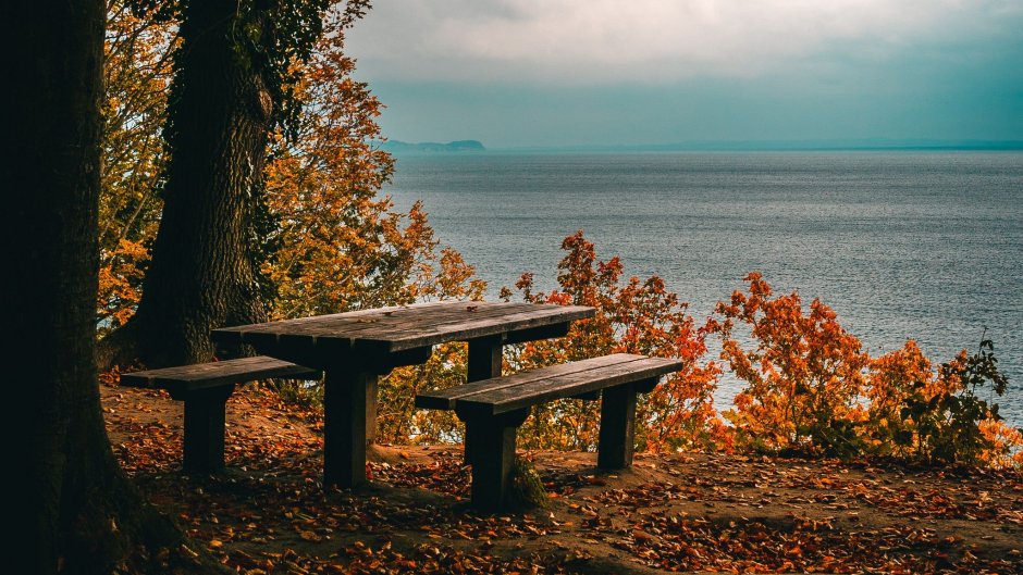 Осеннее море
