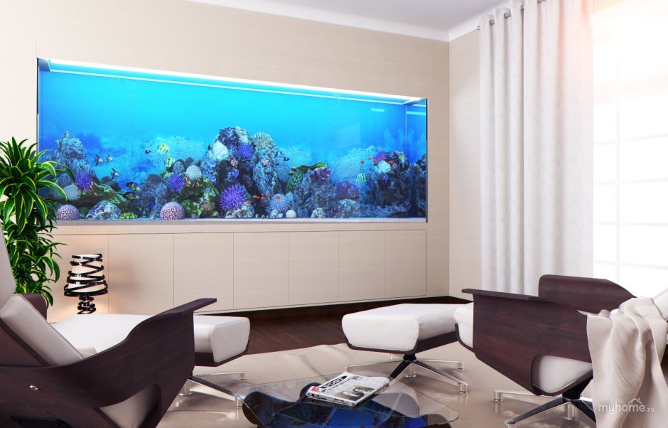 Аквариум в кабинете