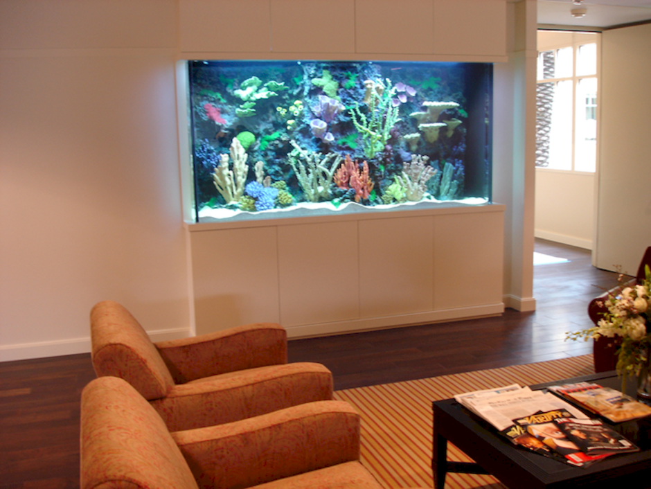 Аквариум перегородка