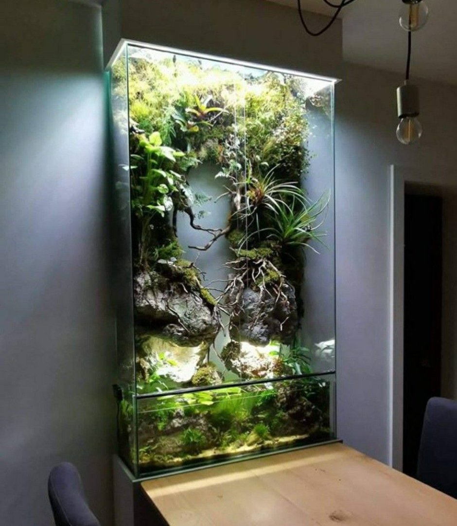 Аквариум палюдариум террариум