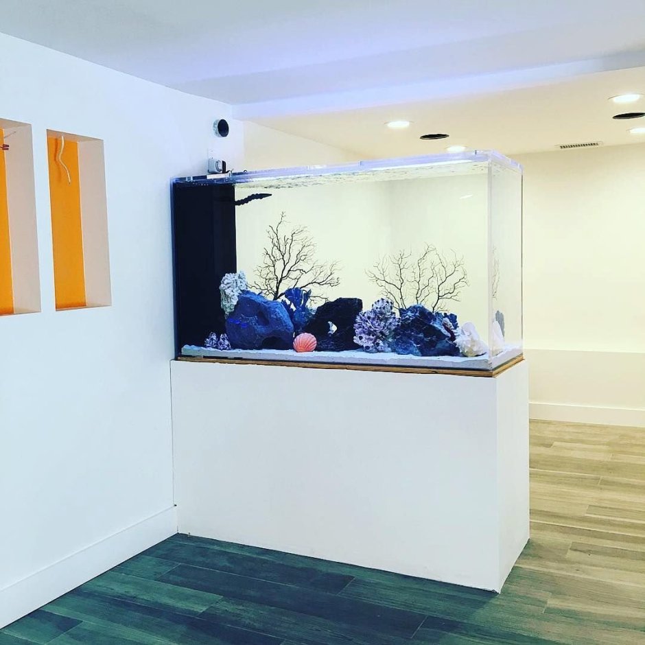 Плоский аквариум на стену