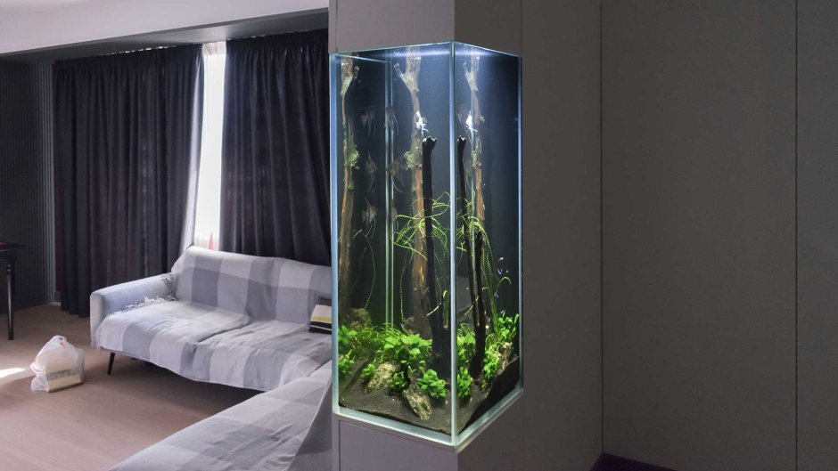 Вертикальный аквариум