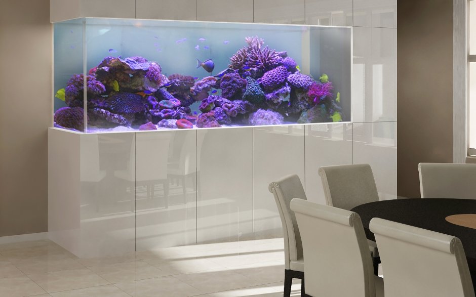 Аквариум на стенде оформить