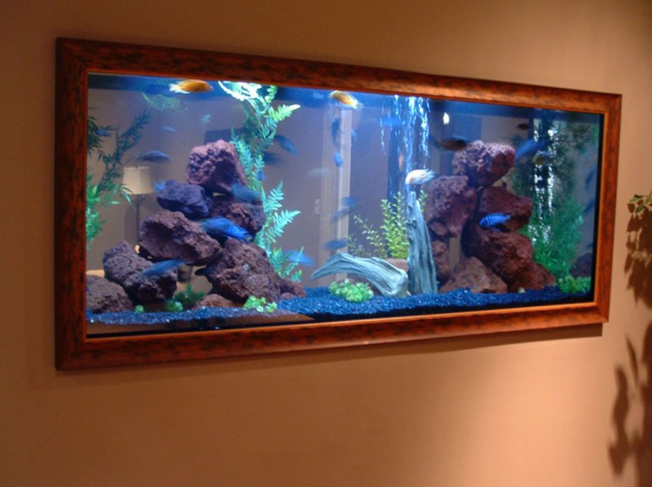 Аквариум с рыбками в стене