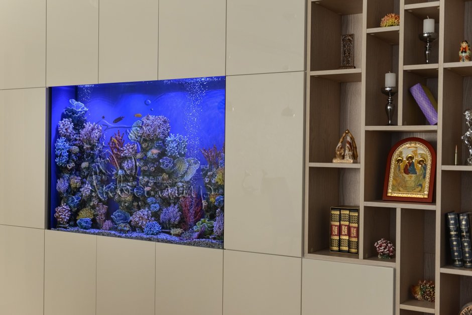 Настенный аквариум
