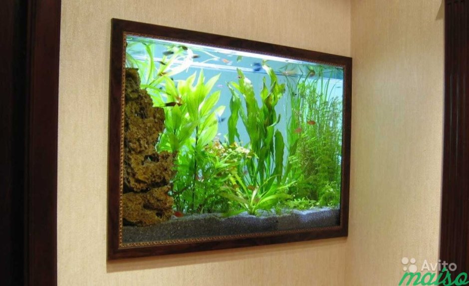 Аквариум картина