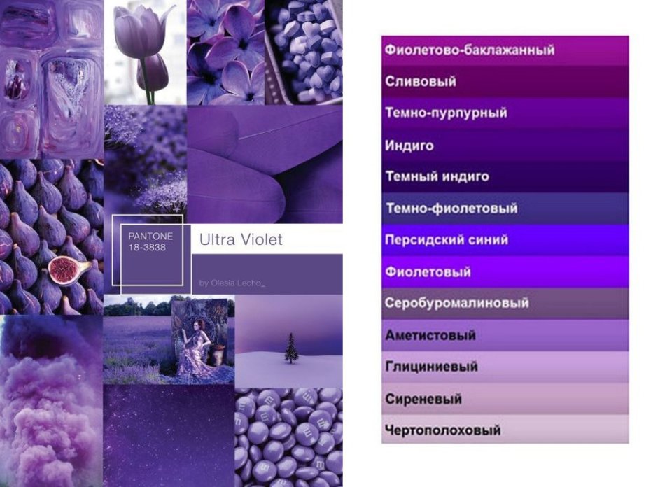 Триша Гилд интерьеры