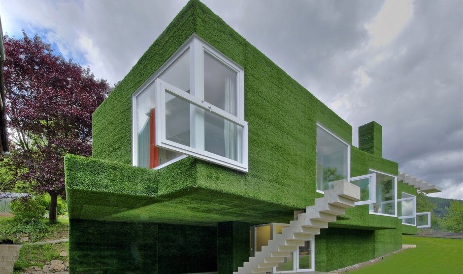 Зеленый фасад