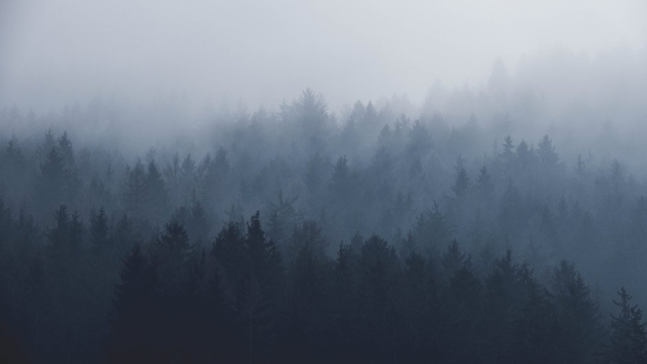 Фреска туманный лес Affresco