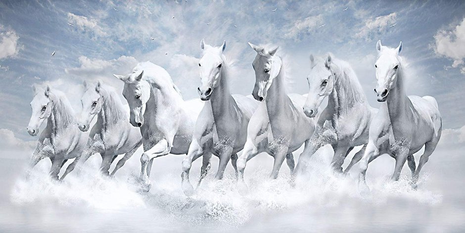 Семь белых лошадей
