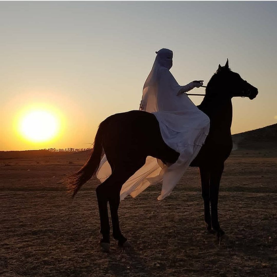 Мусульманка на коне