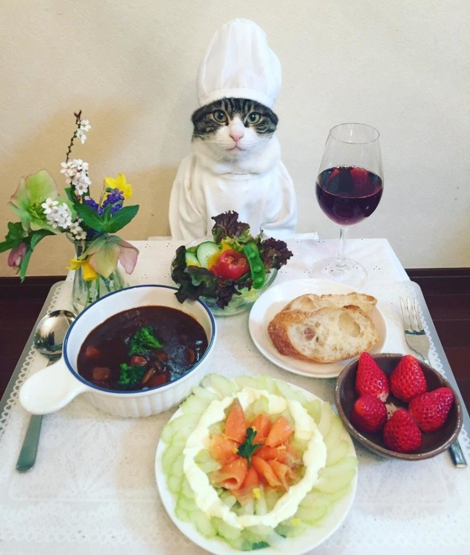 Питание кошек