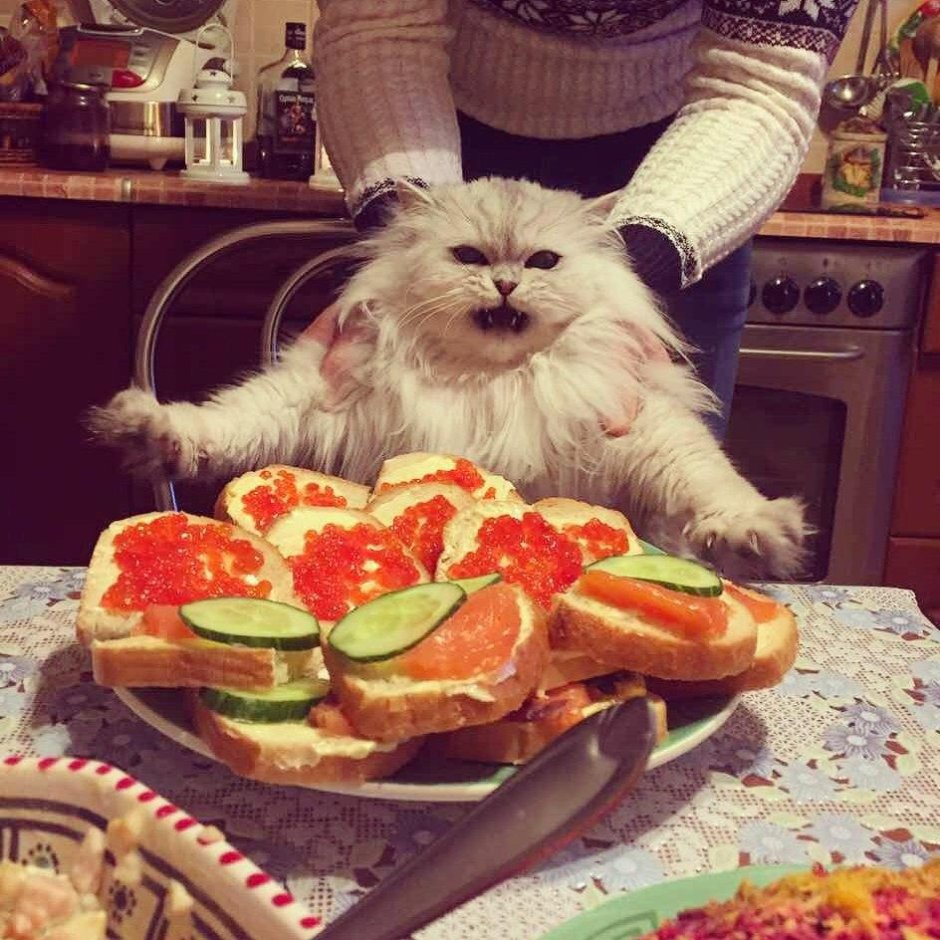 Парень в фартуке на кухне