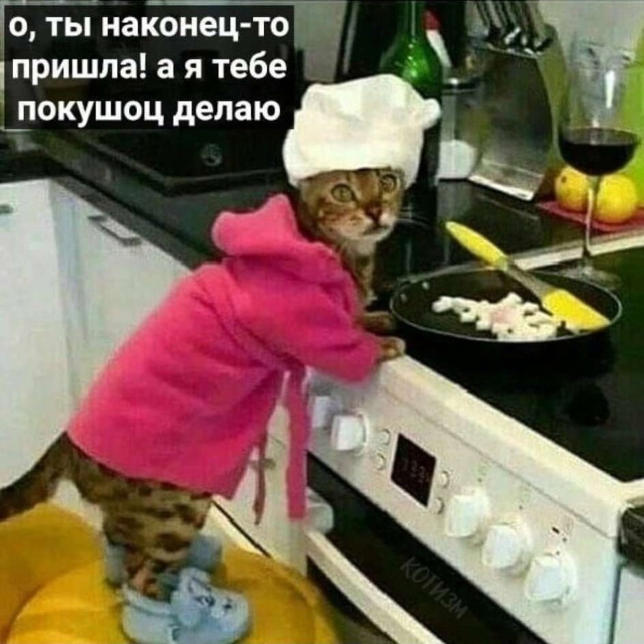 Кошка на кухне