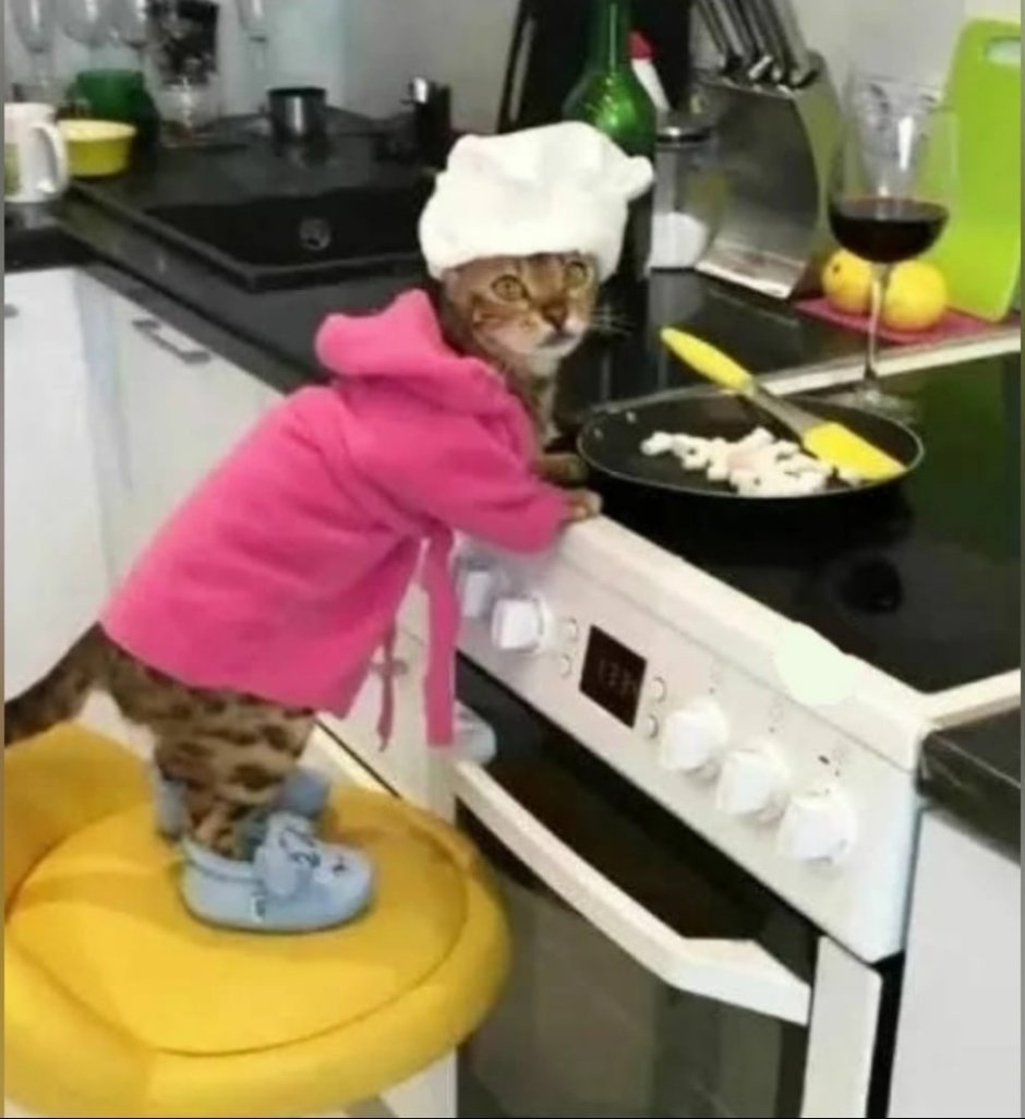 Котенок на кухне