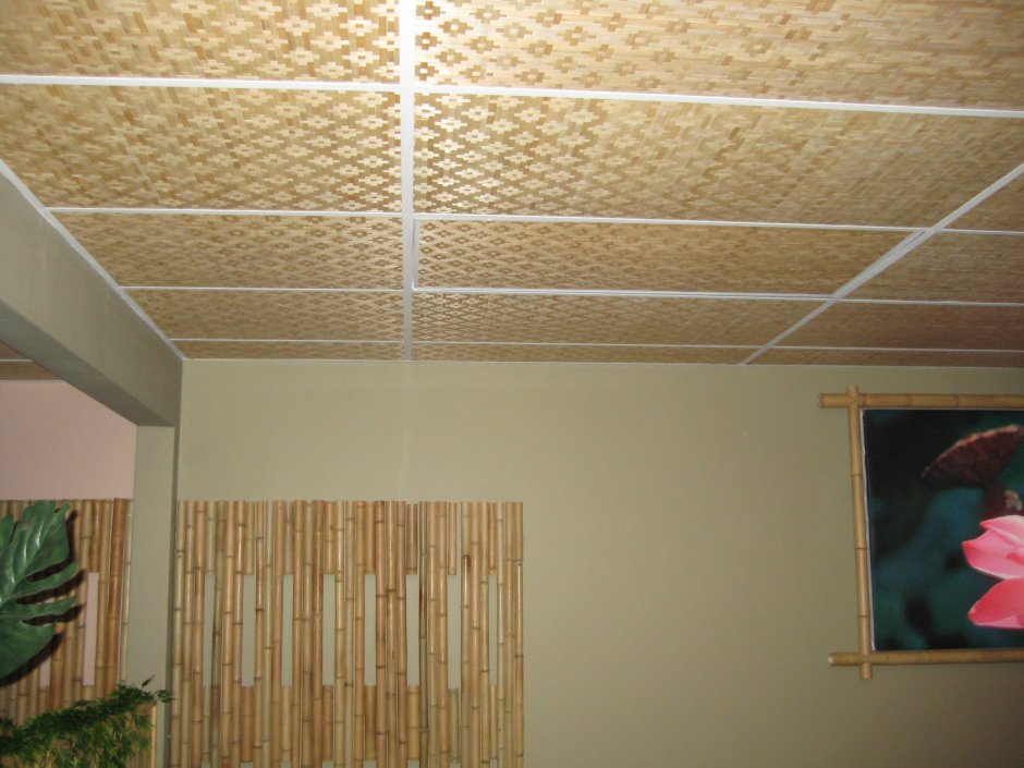Потолочные панели