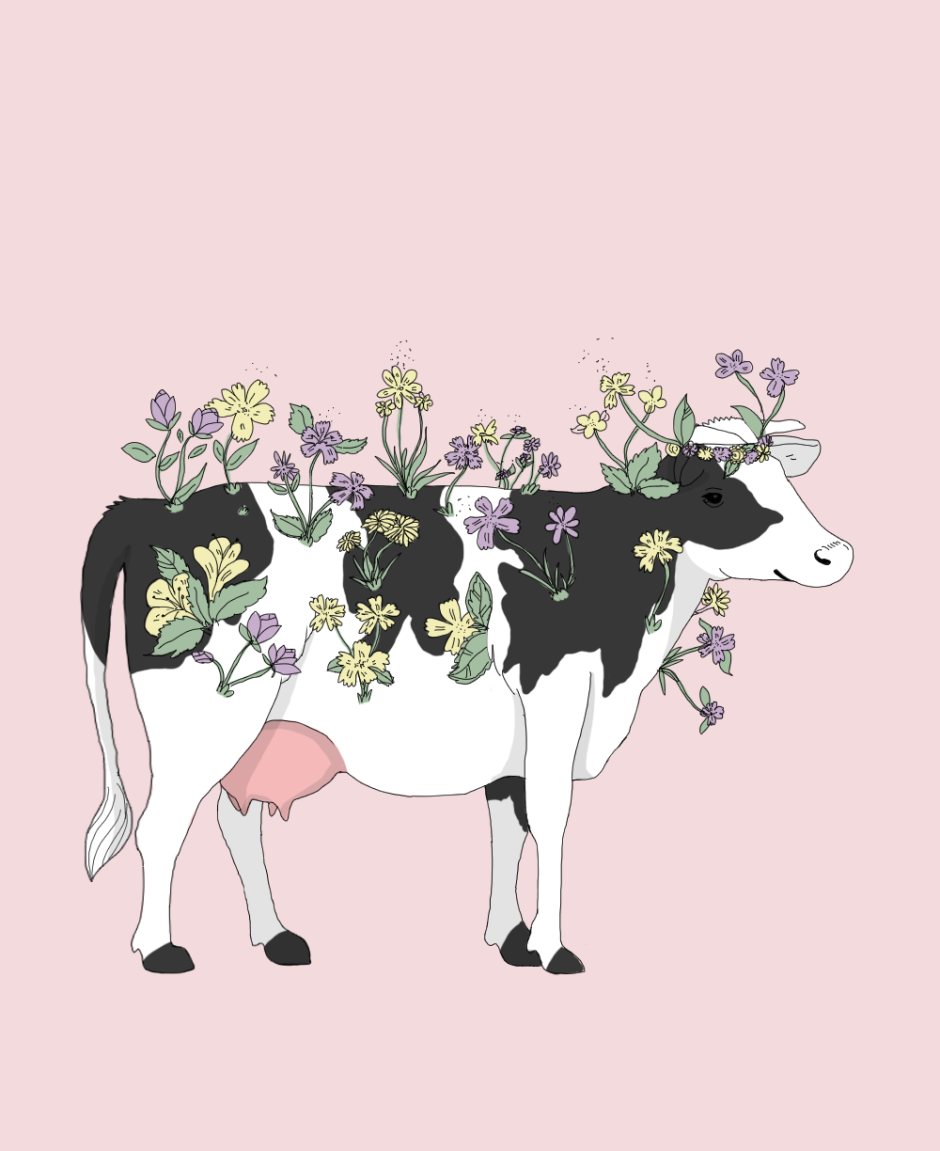 Корова Эстетика