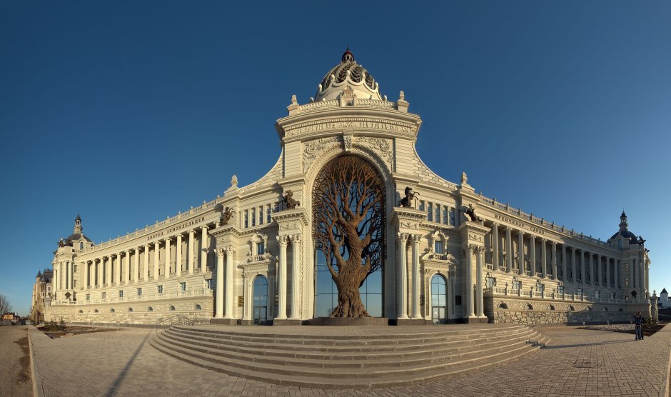 Казань дерево