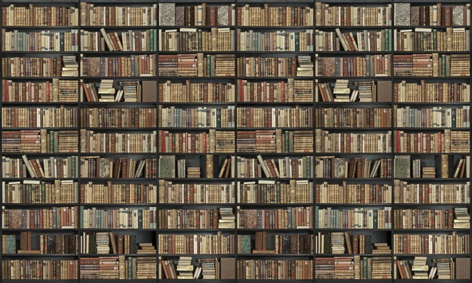 Обои с книжными полками