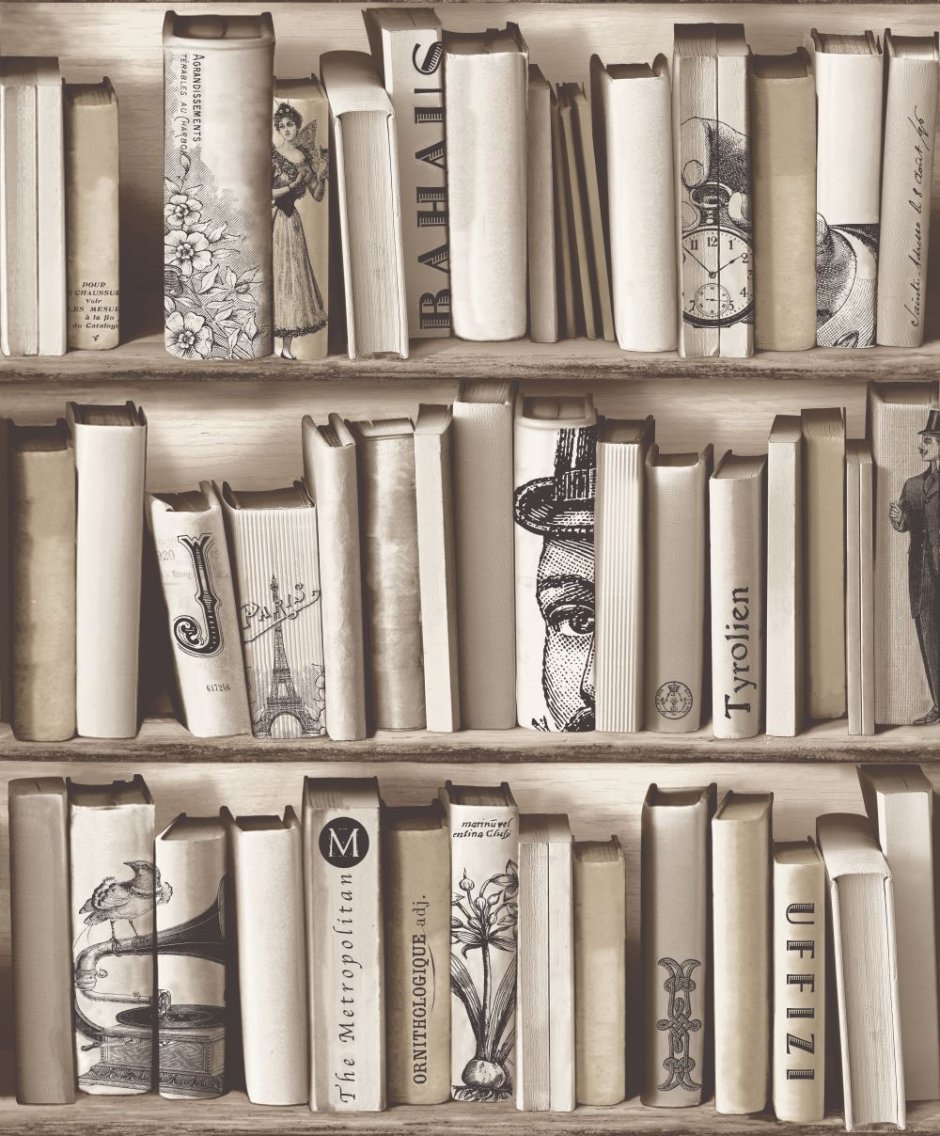 Обои в виде книжных полок
