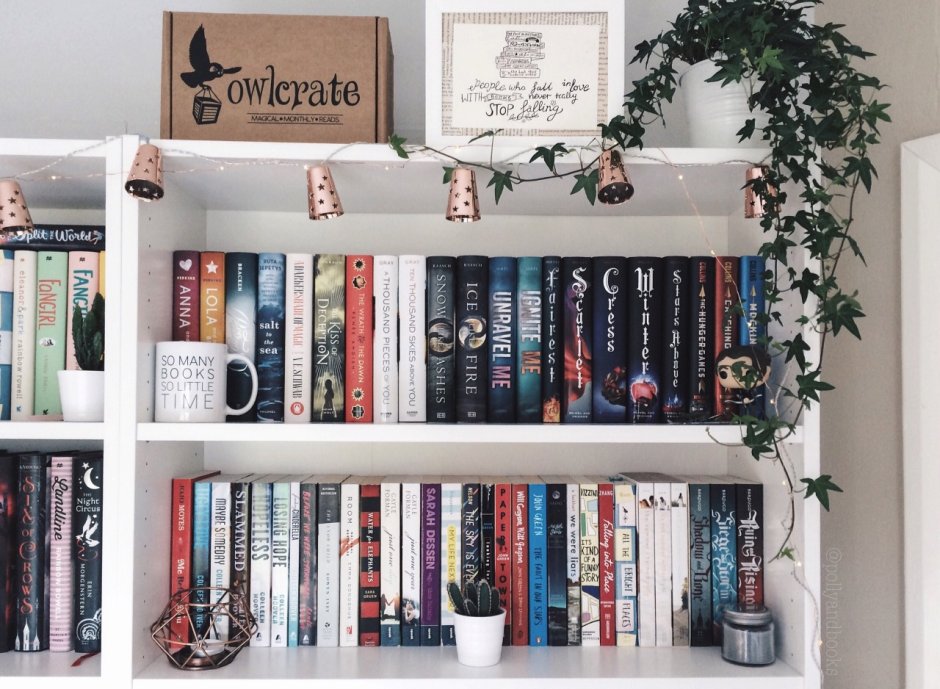 Эстетика книжных полок под новый год