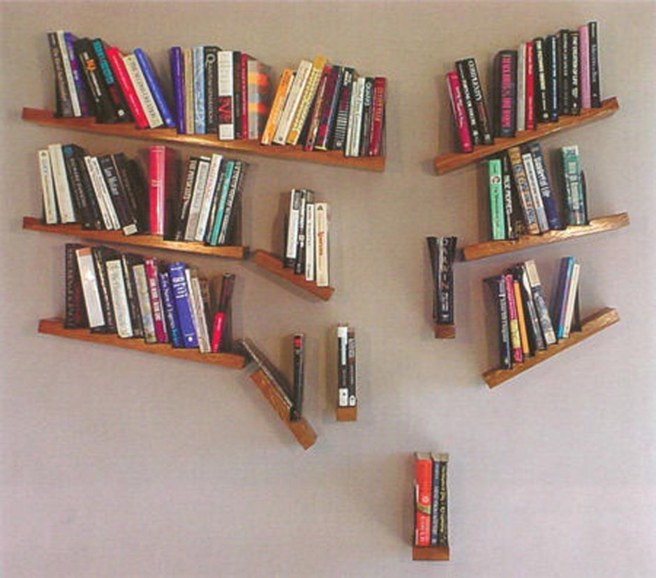 Оригинальные книжные полки