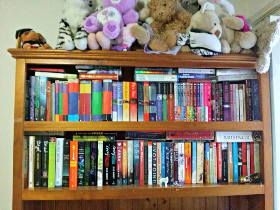 Книжные полки в библиотеке