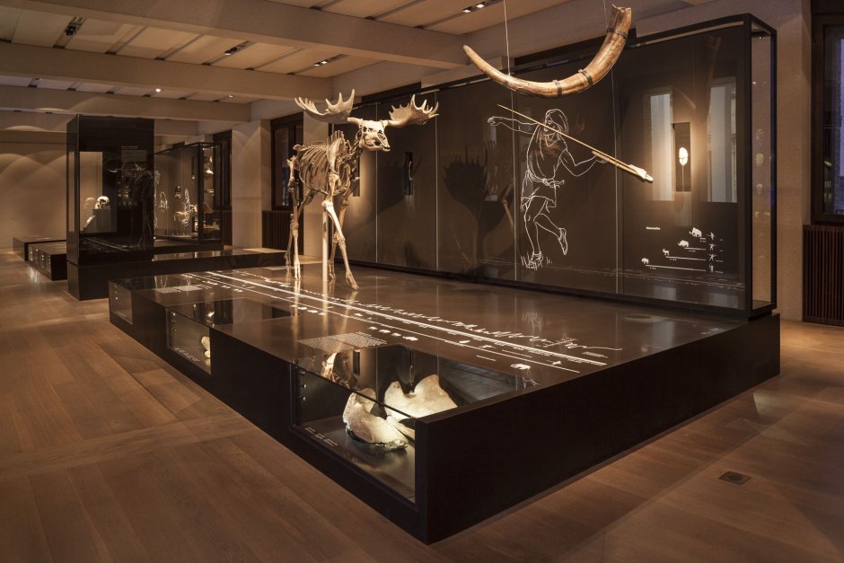 Das neue Museum в Берлине