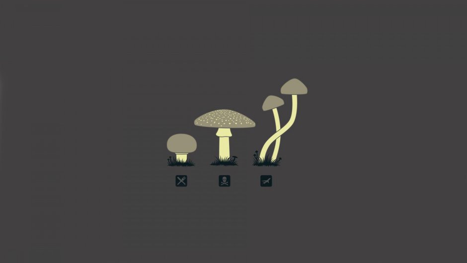 Минималистичные грибы