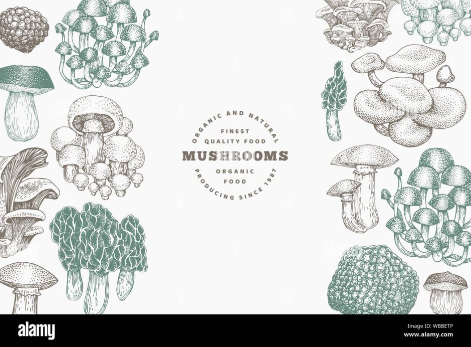 Mushroom Design Post