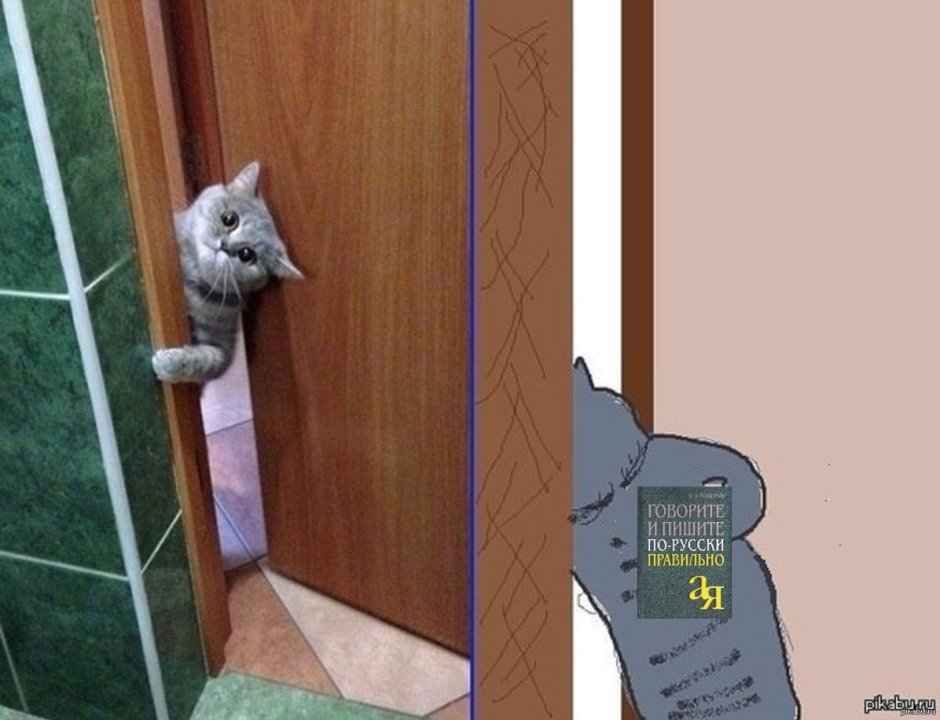 Дверь для кота