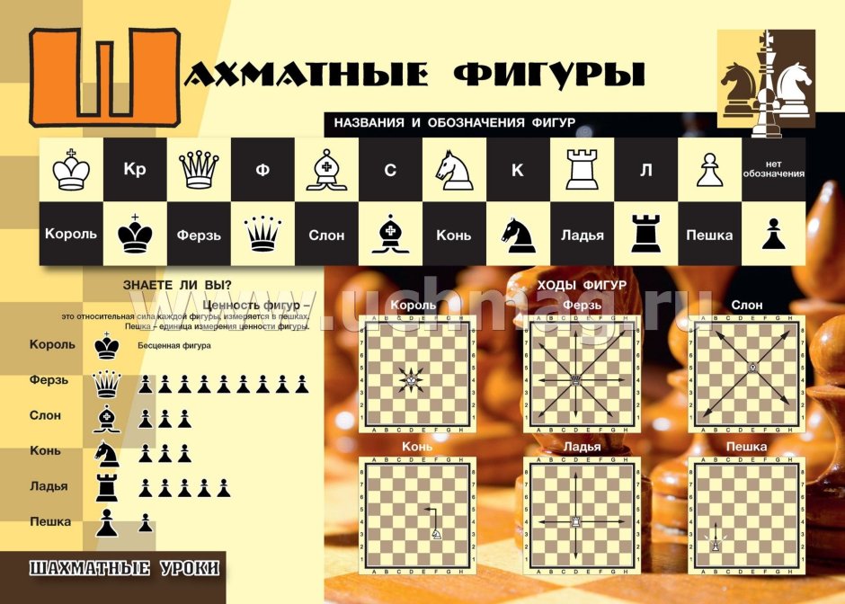 Шахматный стенд