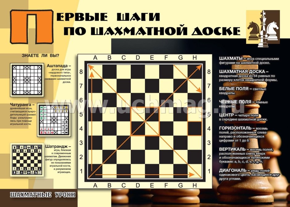 Стенд по шахматам