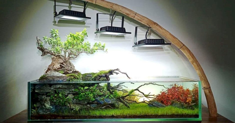 Необычный декор аквариума